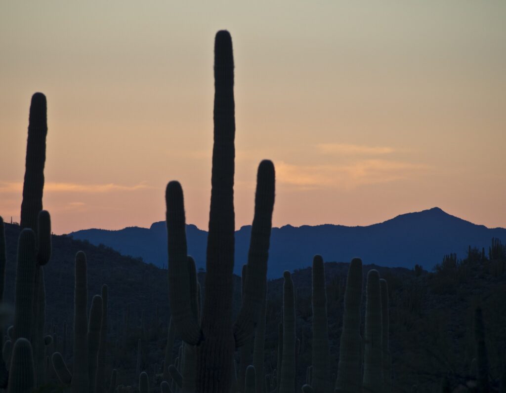 sonora-desert-landscape-1508603136j0b